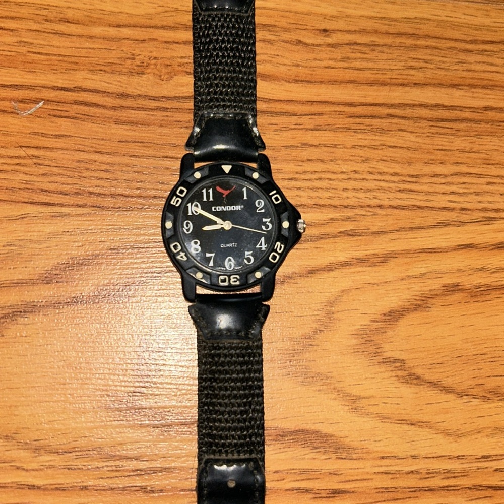 Condor Watch - image 2